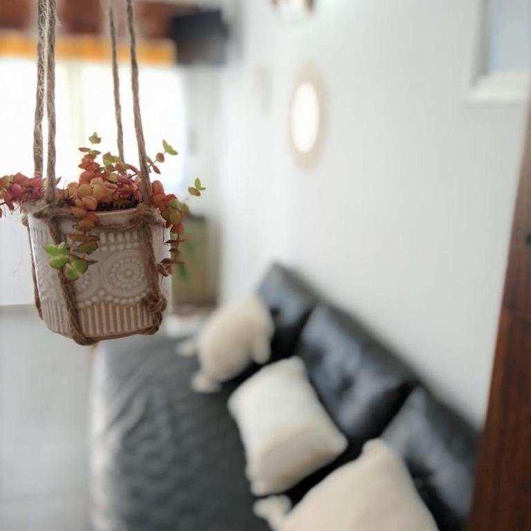 Vibrar Bonito - Apartment - 21