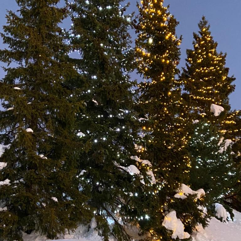 Avoriaz beau 2P falaise confort skis aux pied proche parking - Appartement 1 Chambre - 39
