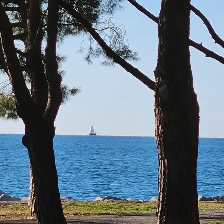 medium miramare appartamento sogno sul mare - Appartamento con 1 Camera da Letto - 6