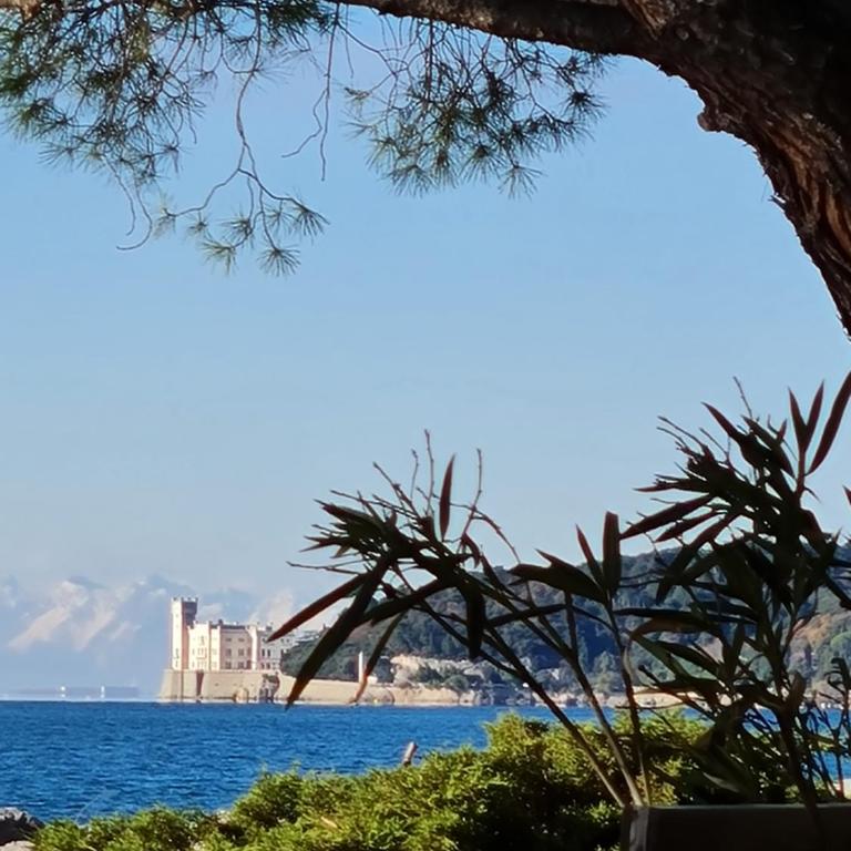 medium miramare appartamento sogno sul mare - Appartamento con 1 Camera da Letto - 5
