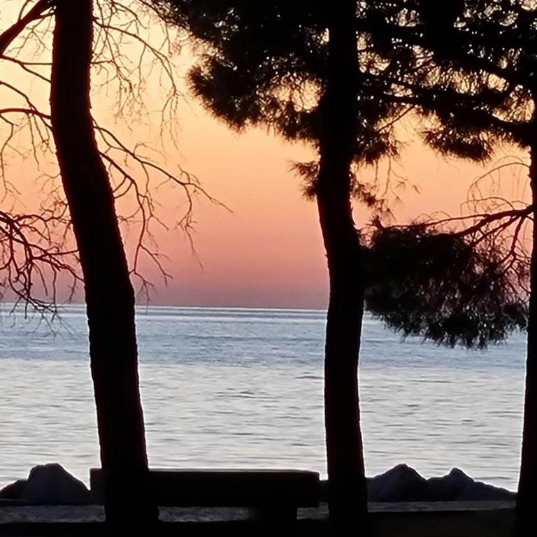 medium miramare appartamento sogno sul mare - Appartamento con 1 Camera da Letto - 10