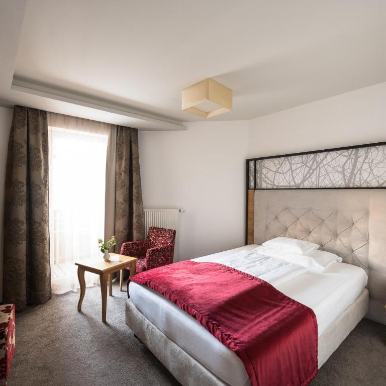 Hotel Seespitz - Comfort Einzelzimmer mit Balkon - 3