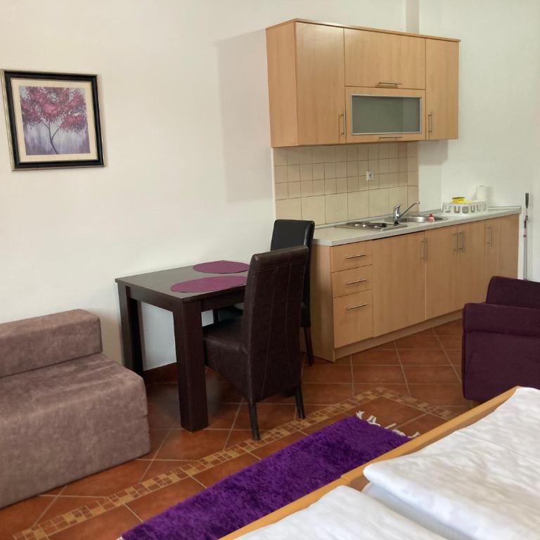 Vila Nina Kopaonik - Studio Apartment - 9