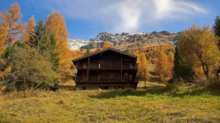 Chalet Singlinaz - Apartamento con vistas al jardín - 5
