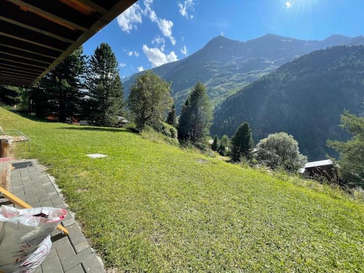 Chalet Singlinaz - Apartamento con vistas al jardín - 7