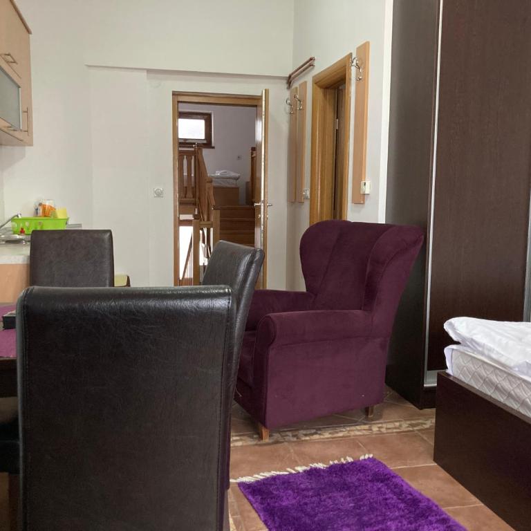 Vila Nina Kopaonik - Apartment with Balcony - 4