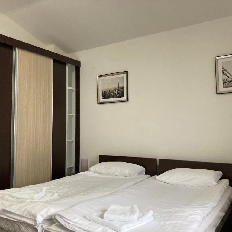 Vila Nina Kopaonik - Apartment with Balcony - 8
