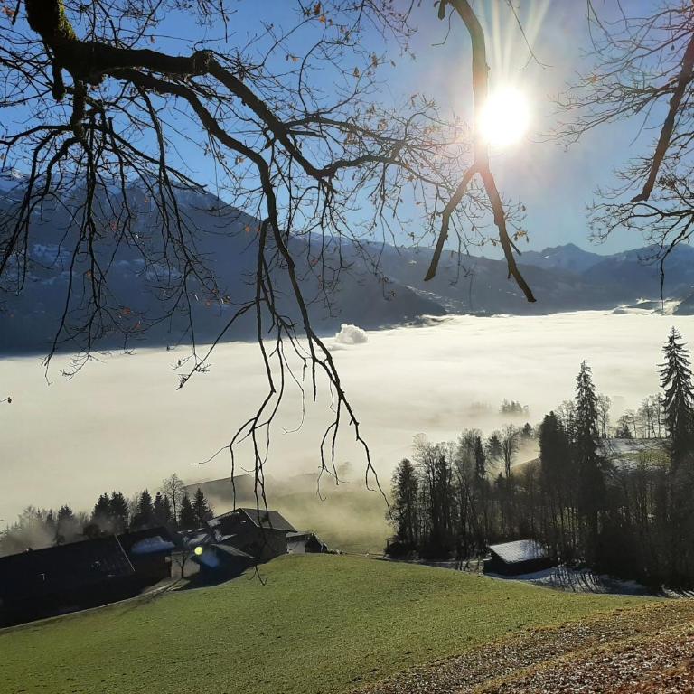 Ferienwohnung Staudach, Apartment - Three-Bedroom Chalet - 21
