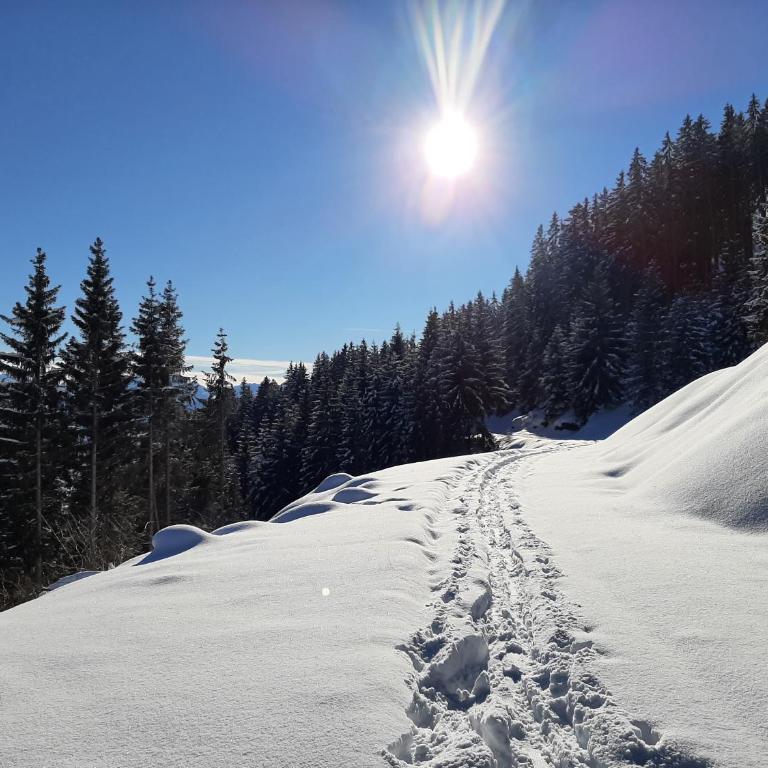 Ferienwohnung Staudach, Apartment - Three-Bedroom Chalet - 40