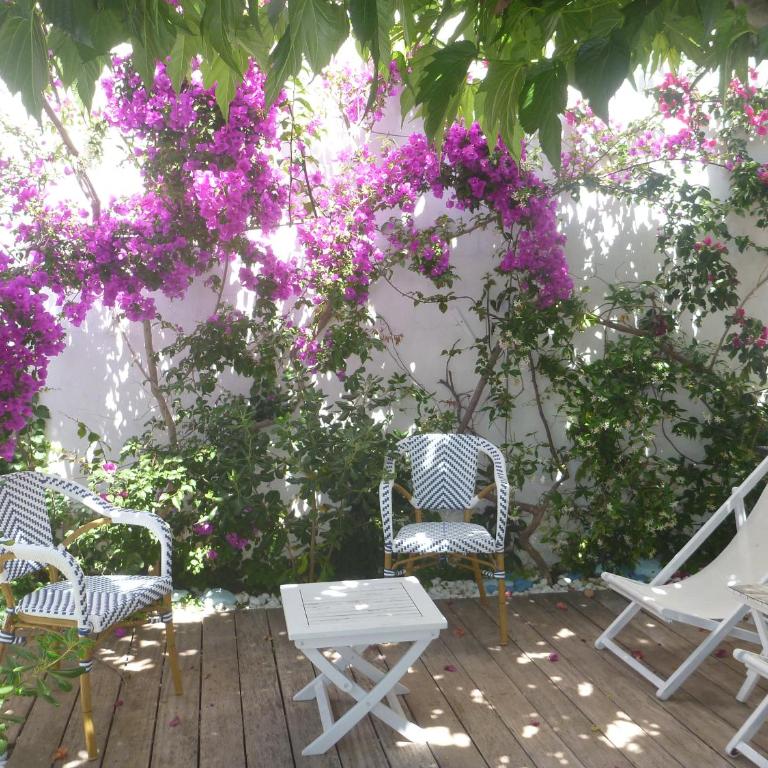 Les galets bleus de Calvi - Villa - 3