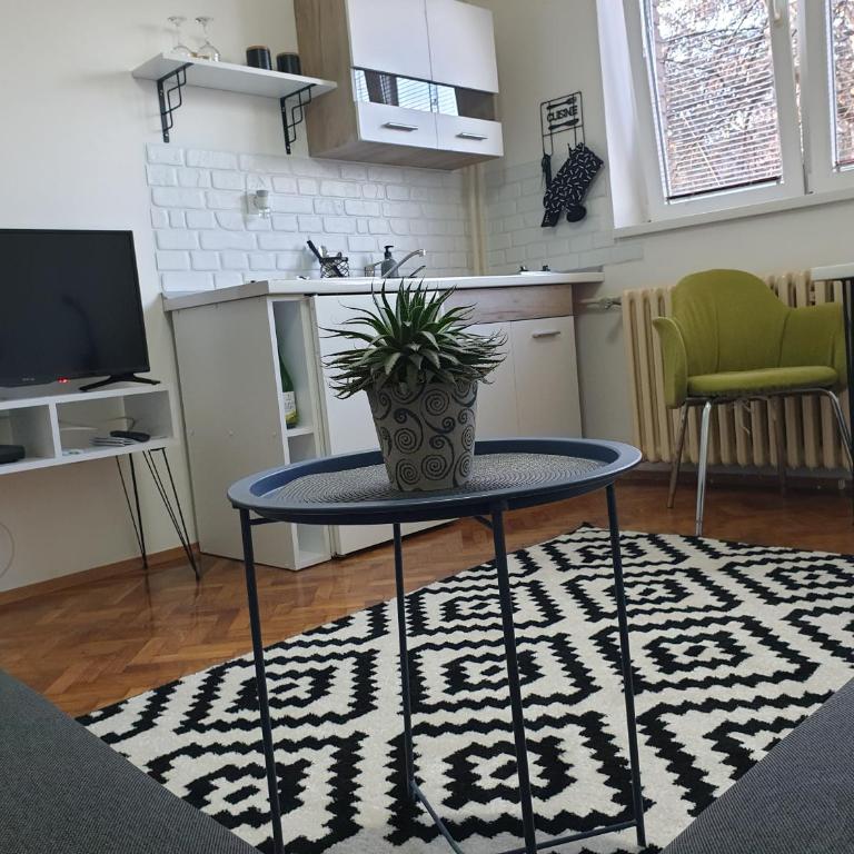 Apartman Park Jagodina-studio u centru grada FREE parking - Apartman sa 1 Spavaćom Sobom - 2