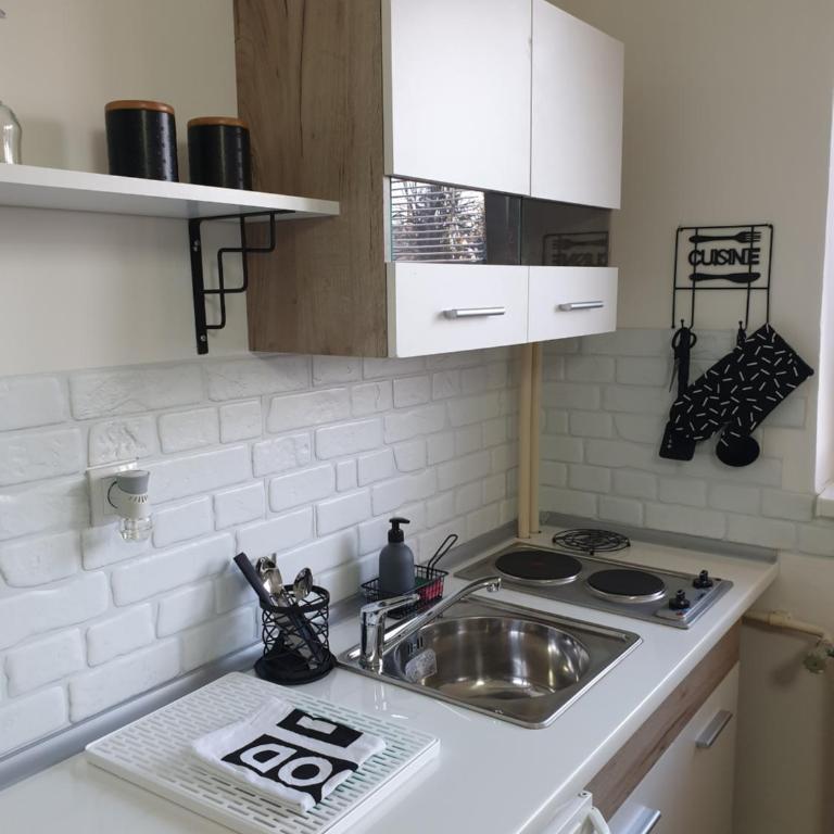 Apartman Park Jagodina-studio u centru grada FREE parking - Apartman sa 1 Spavaćom Sobom - 6