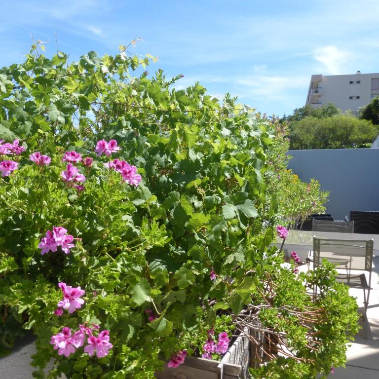 Le Grand Bleu - Appartement 2 Chambres - 8