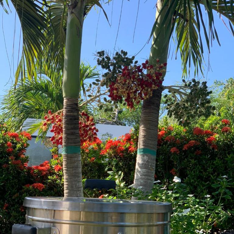 Paraíso Bungalow los corales - Villa de 2 dormitorios - 26