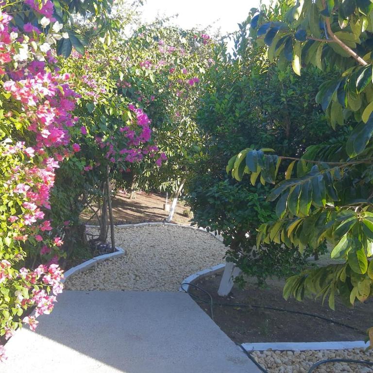 Paraíso Bungalow los corales - Villa de 2 dormitorios - 37