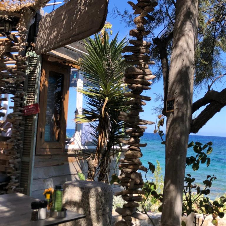 Les galets bleus de Calvi - Villa - 46