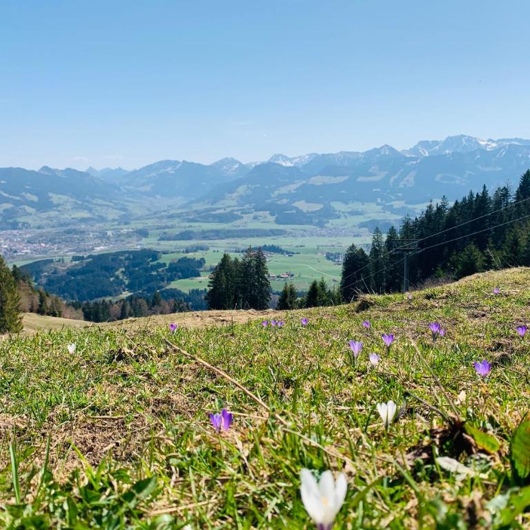 Ferienwohnung am Dorfbach - Appartamento con 1 Camera da Letto - 18