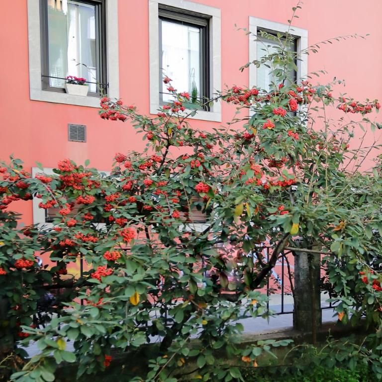 Residenza Cristoforo - Appartamento con 1 Camera da Letto - 17