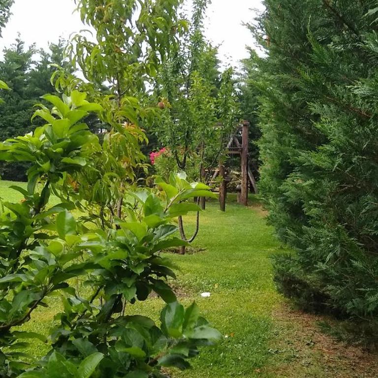 Alojamiento El Pinar - Two-Bedroom House - 34