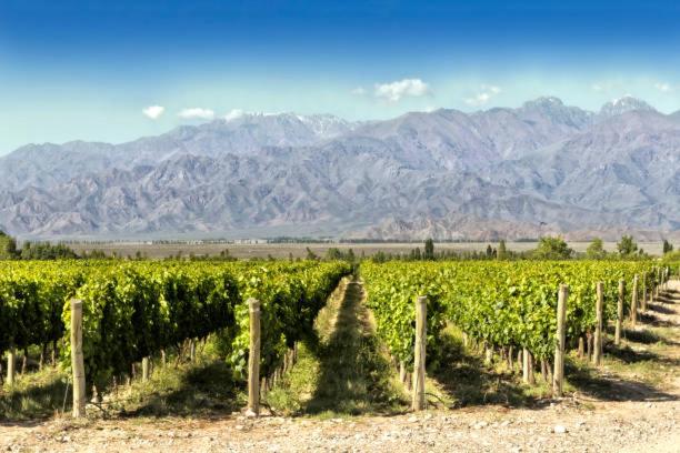 Apartamento Deluxe Senderos del Vino I, con cochera incluida, Desayuno opcional - Apartamento de 2 dormitorios - 50