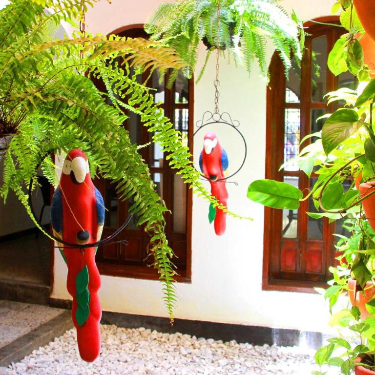 La Guaca Hostel Santa Marta - Cama en habitación compartida de 8 camas - 4