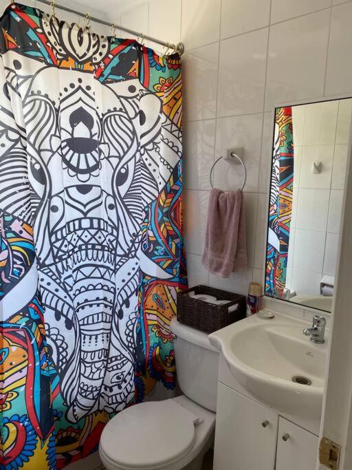 Hermosa casa a 10 minutos de Huilo Huilo - Casa de 3 dormitorios - 28