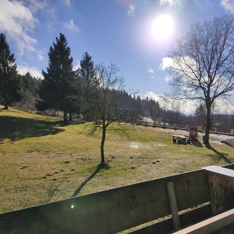Ferienapartment Alois in Sankt Englmar - Appartamento con 1 Camera da Letto - 23