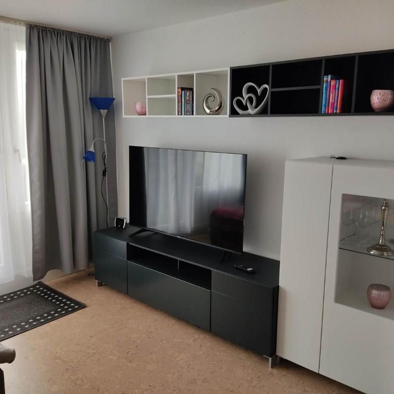 Ferienapartment Alois in Sankt Englmar - Appartamento con 1 Camera da Letto - 26