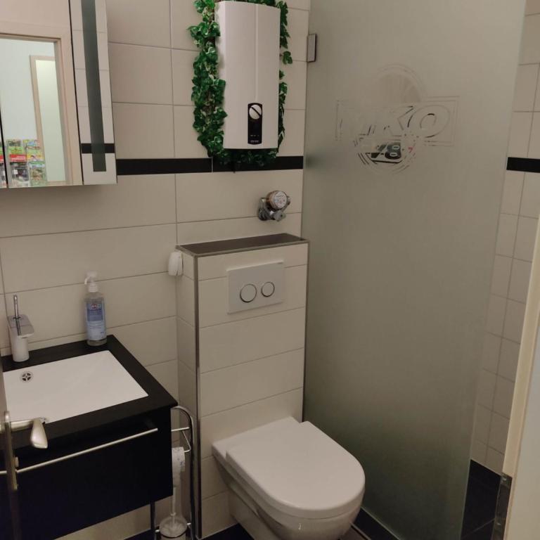Ferienapartment Alois in Sankt Englmar - Appartamento con 1 Camera da Letto - 32