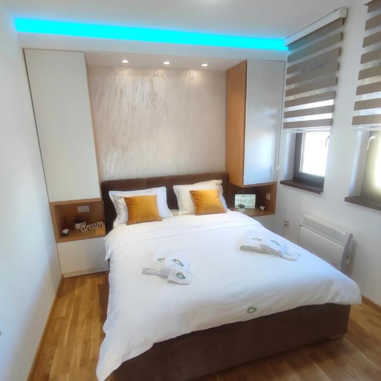 Zlatibor Apartman Aria Forest Spa & Gym - Apartman sa 1 Spavaćom Sobom - 6