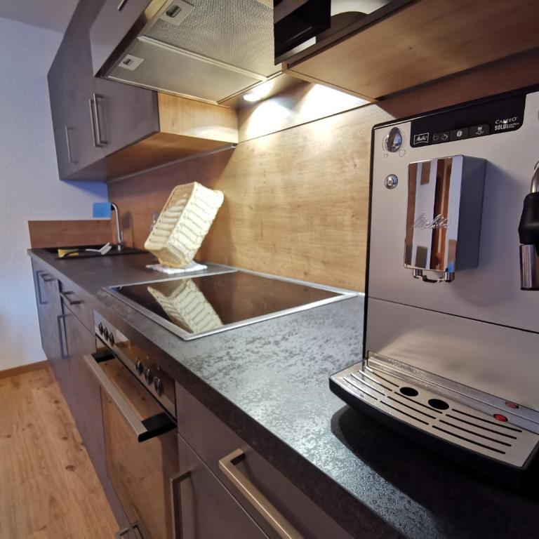 Apart Grafspitz - Apartment mit Balkon - 30