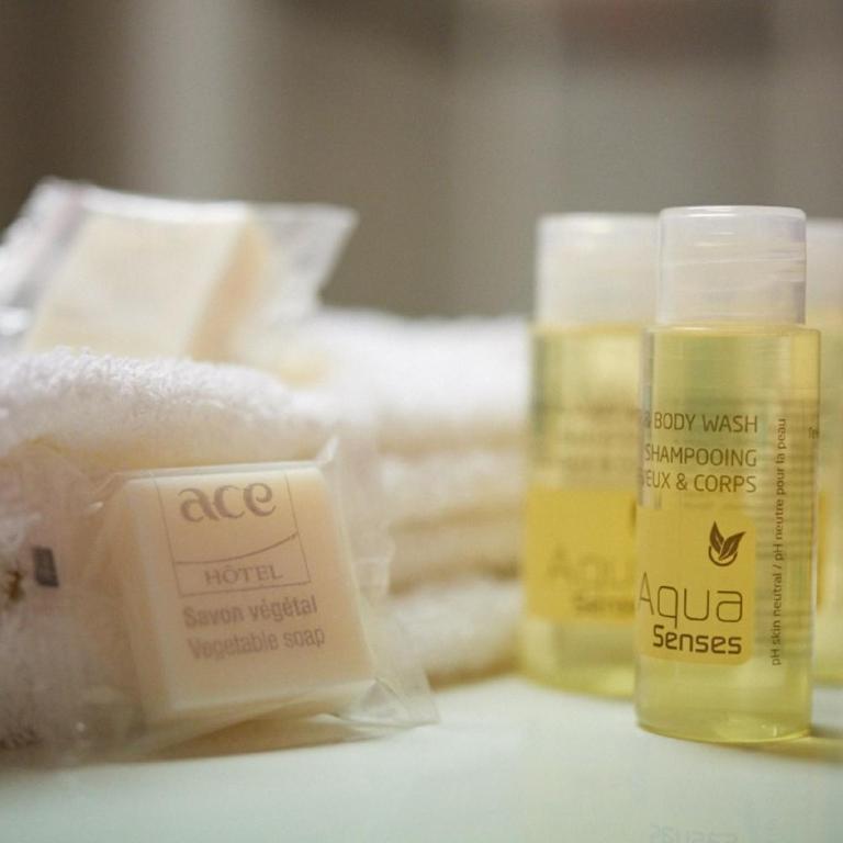 Ace Hotel Annecy - Chambre Double - 1