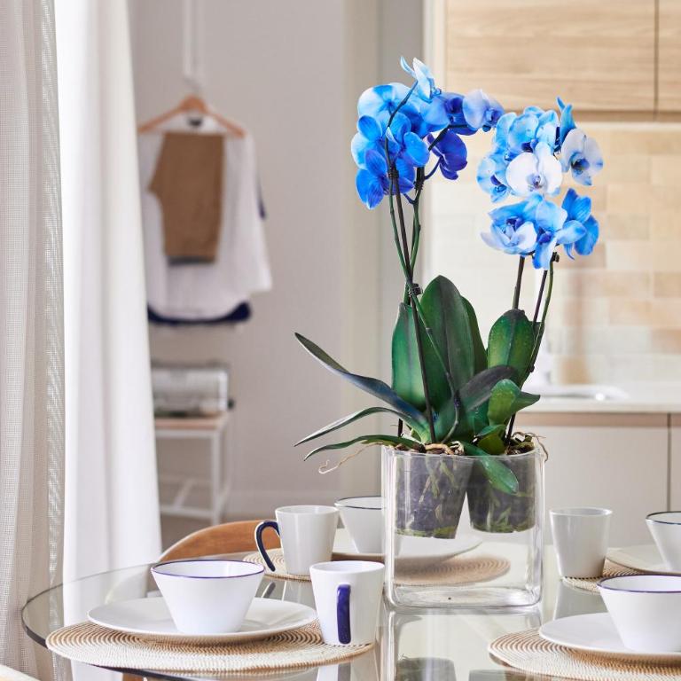 Slow Home Apartments - One-Bedroom Apartment - 4