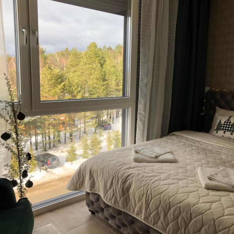 Apartman Ambijent Divcibare - Deluks Studio sa Queen Krevetom - 22