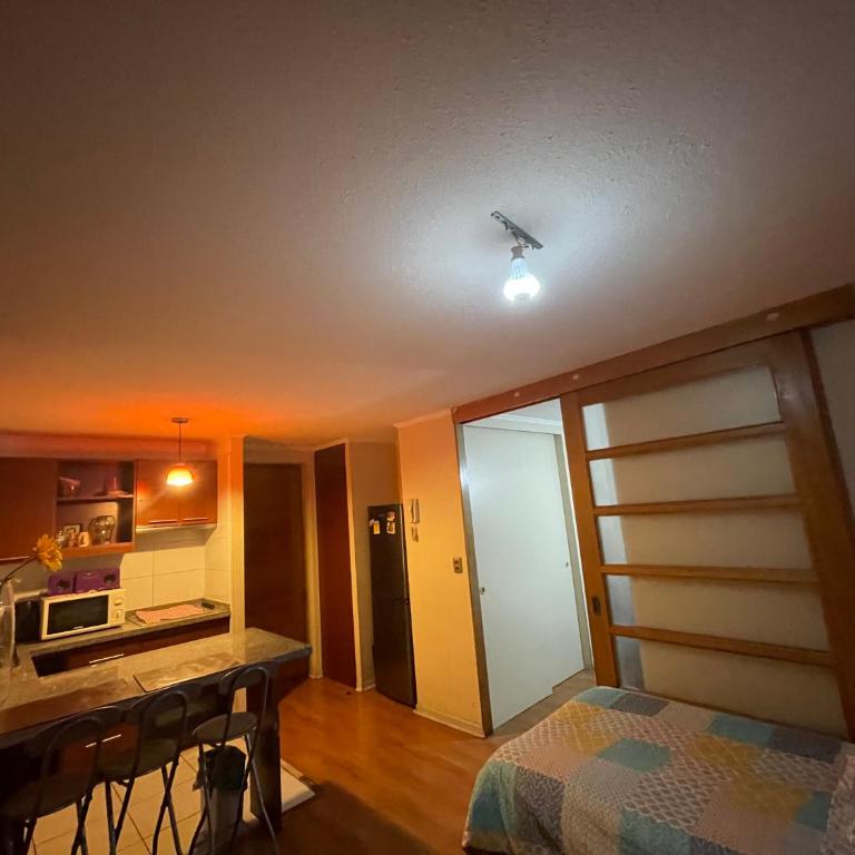 Departamento a pasos de Mall Plaza - Apartamento de 1 dormitorio - 7