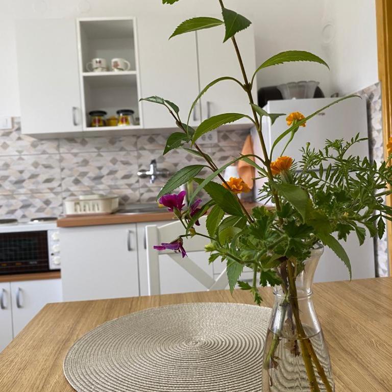 Apartmani Jarevac - Apartment - 4