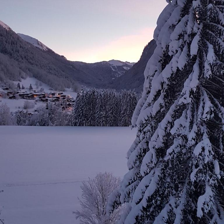 Au calme face au grand paysage - Appartement 1 Chambre - 22