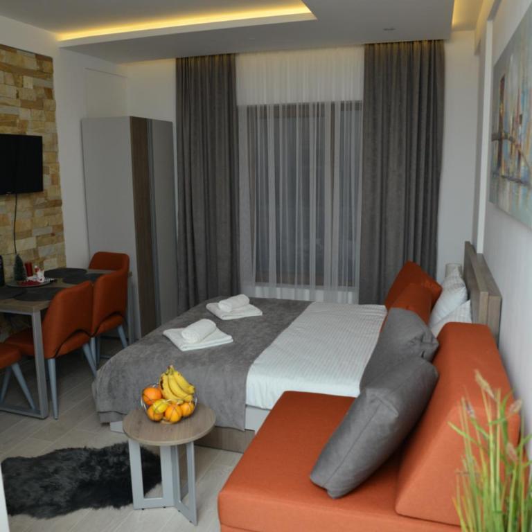 Milmari Future Gold Apartmani Kopaonik - Apartman sa 1 Spavaćom Sobom - 49