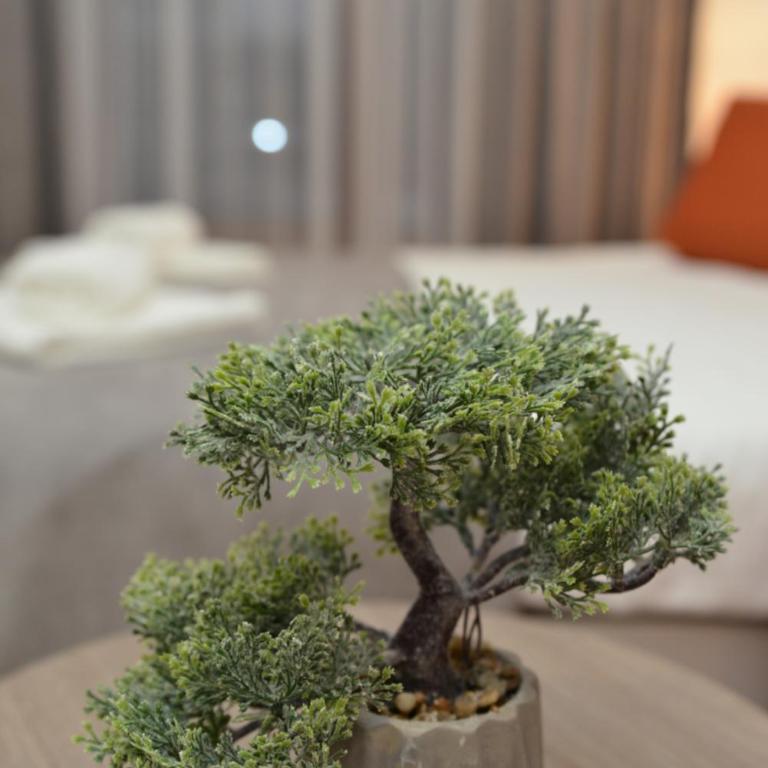 Milmari Future Gold Apartmani Kopaonik - One-Bedroom Apartment - 54