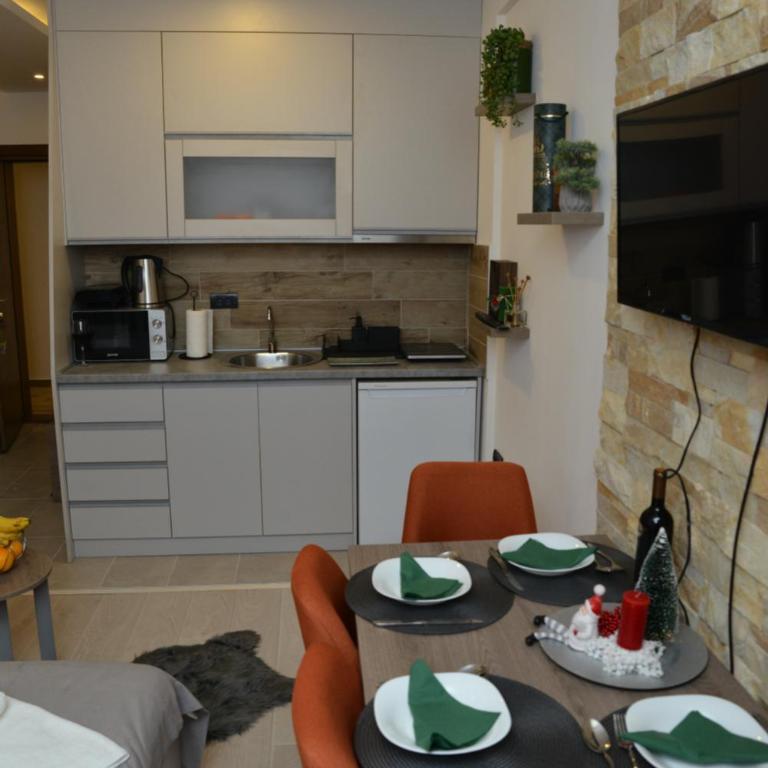 Milmari Future Gold Apartmani Kopaonik - Apartman sa 1 Spavaćom Sobom - 57