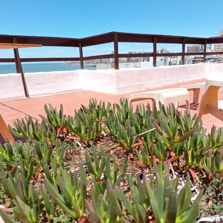 Loft Plena Vista Al Mar Con Terraza Propia. - Apartamento de 1 dormitorio - 30