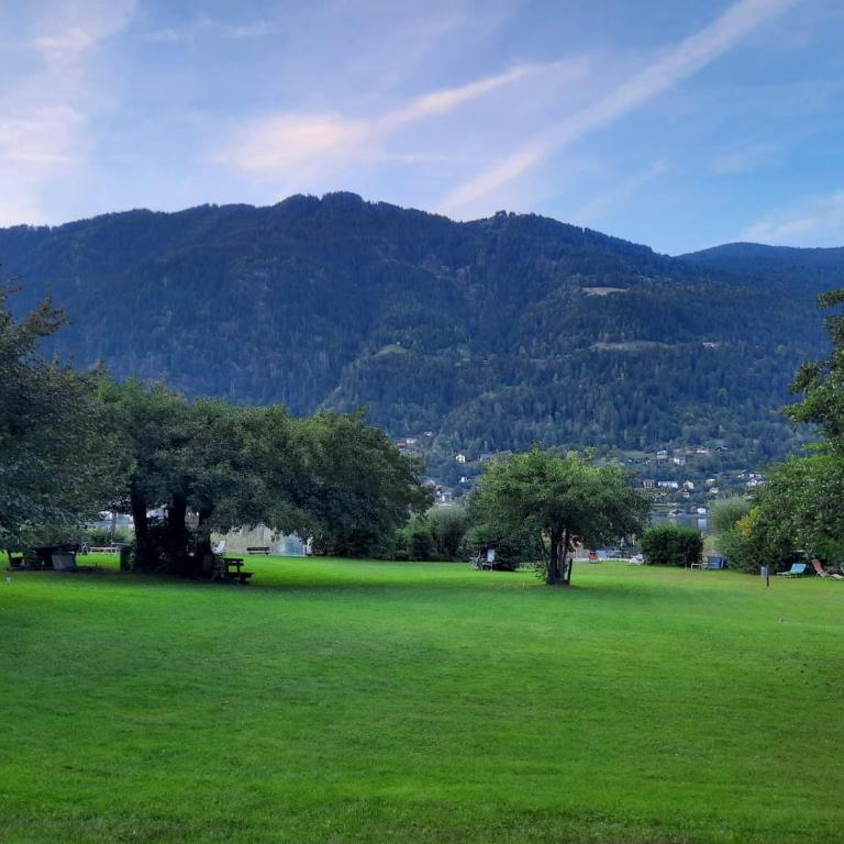 Appartement am Ossiachersee - One-Bedroom Apartment - 12