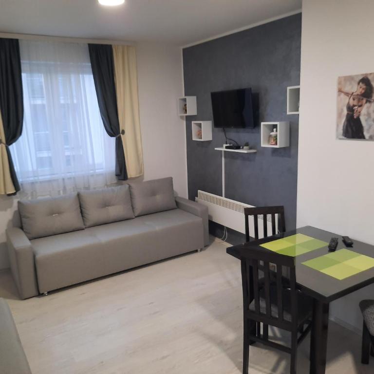 Studio Sanja - Studio Apartman - 7