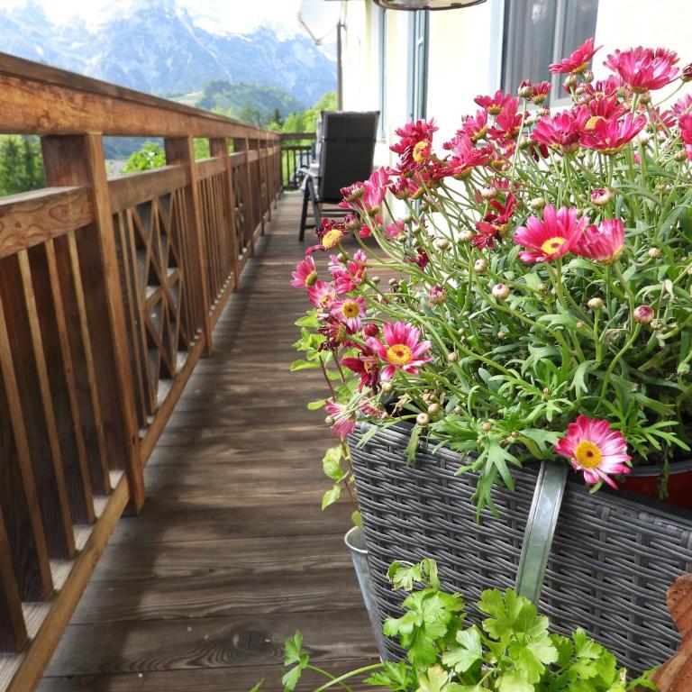 Bio-Bauernhof Einberghof - Apartment mit schöner Aussicht - 17