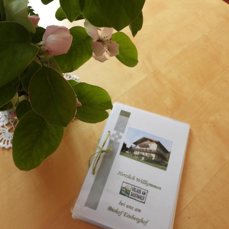 Bio-Bauernhof Einberghof - Apartment mit Blick auf die Berge - 13