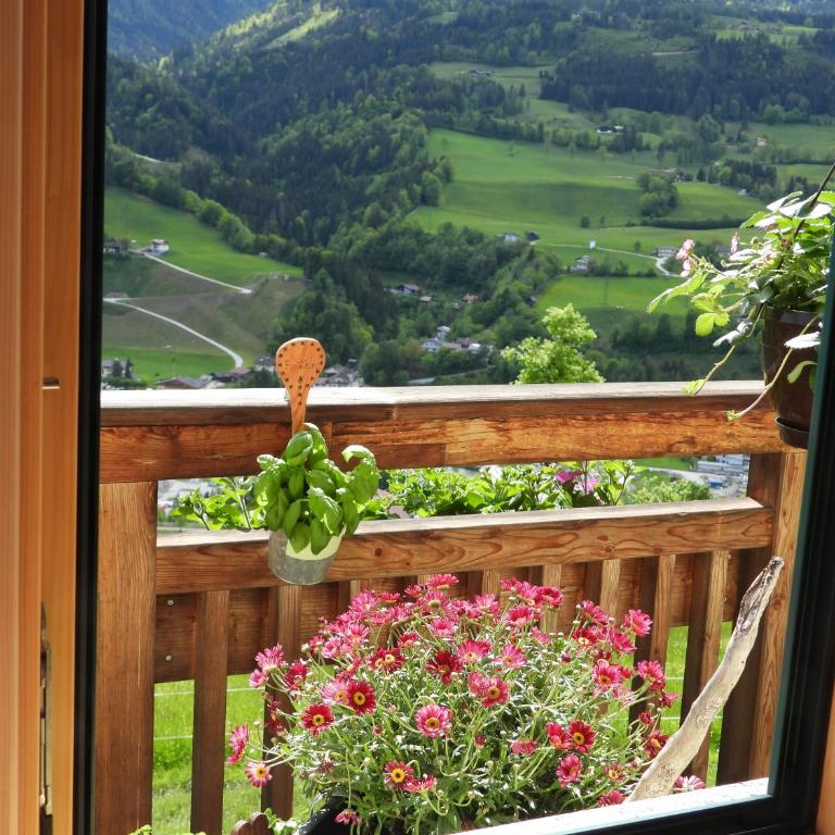 Bio-Bauernhof Einberghof - Apartment mit Blick auf die Berge - 2