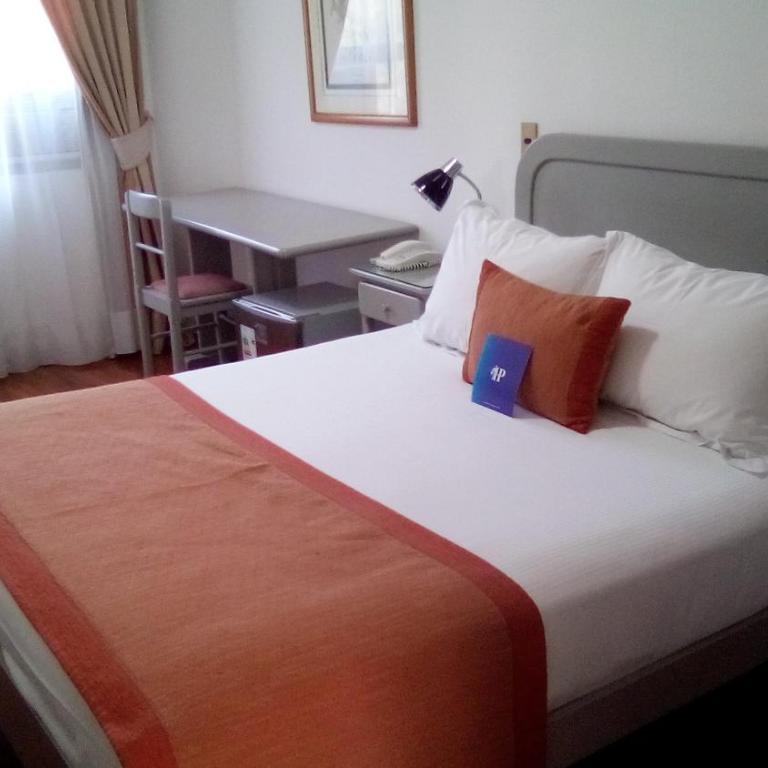 Hotel Presidente - Habitación Doble Ejecutiva 20 m² - 1