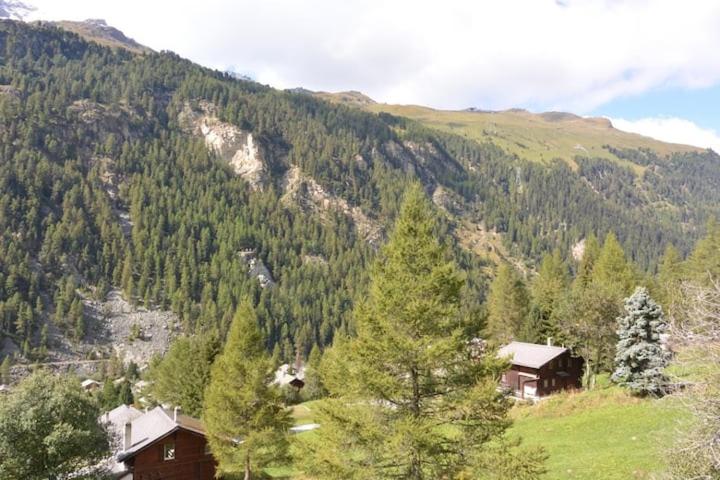 Chalet Singlinaz - Apartamento - 7