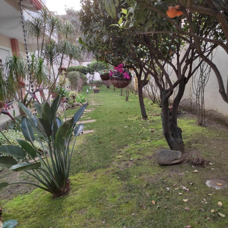 Villino Matilde - Two-Bedroom Apartment - 29