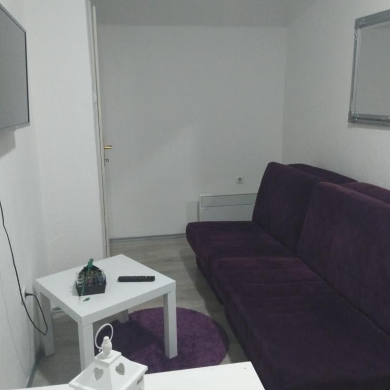 Apartments Lord - Apartman sa Balkonom - 15